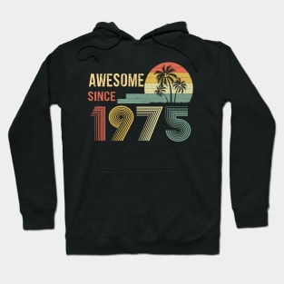 47 Years Old Awesome Since 1975 Gifts 47th Birthday Gift Hoodie